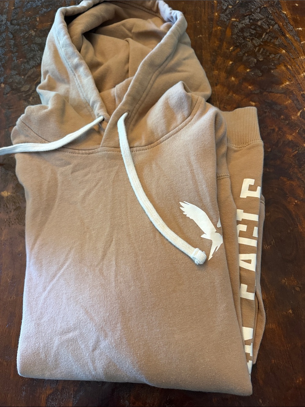 Men’s American Eagle Hoodie